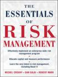 The Essentials of risk management