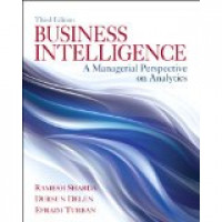 Business intelligence : a managerial perspective on analytics