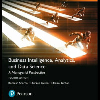 Business Inteligence Analytics and Data Science: a managerial perspective